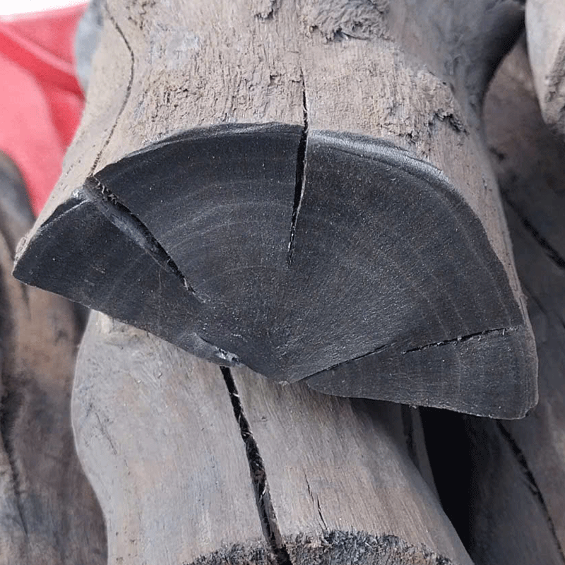Untitled-3-than-cui-duoc.gif
